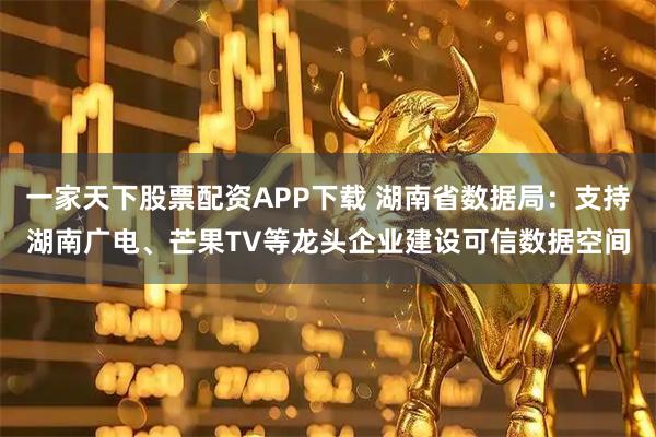 一家天下股票配资APP下载 湖南省数据局：支持湖南广电、芒果TV等龙头企业建设可信数据空间
