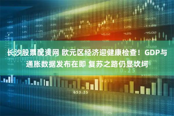 长沙股票配资网 欧元区经济迎健康检查！GDP与通胀数据发布在即 复苏之路仍显坎坷