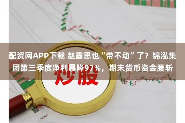 配资网APP下载 赵露思也“带不动”了?锦泓集团第三季度净利暴降97%,期末货币资金腰斩