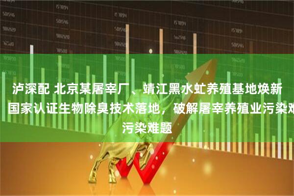 泸深配 北京某屠宰厂、靖江黑水虻养殖基地焕新记:国家认证生物除臭技术落地,破解屠宰养殖业污染难题
